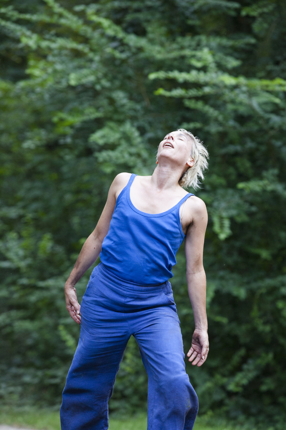 Gioia_Compagnie Hayos